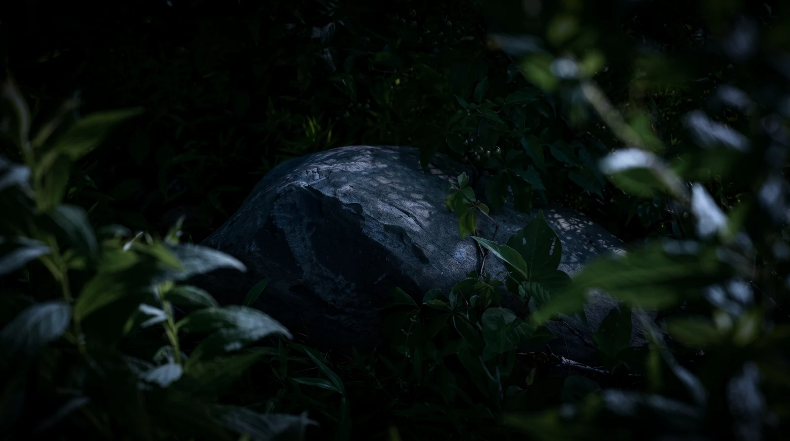 A moss-covered boulder among the trees.