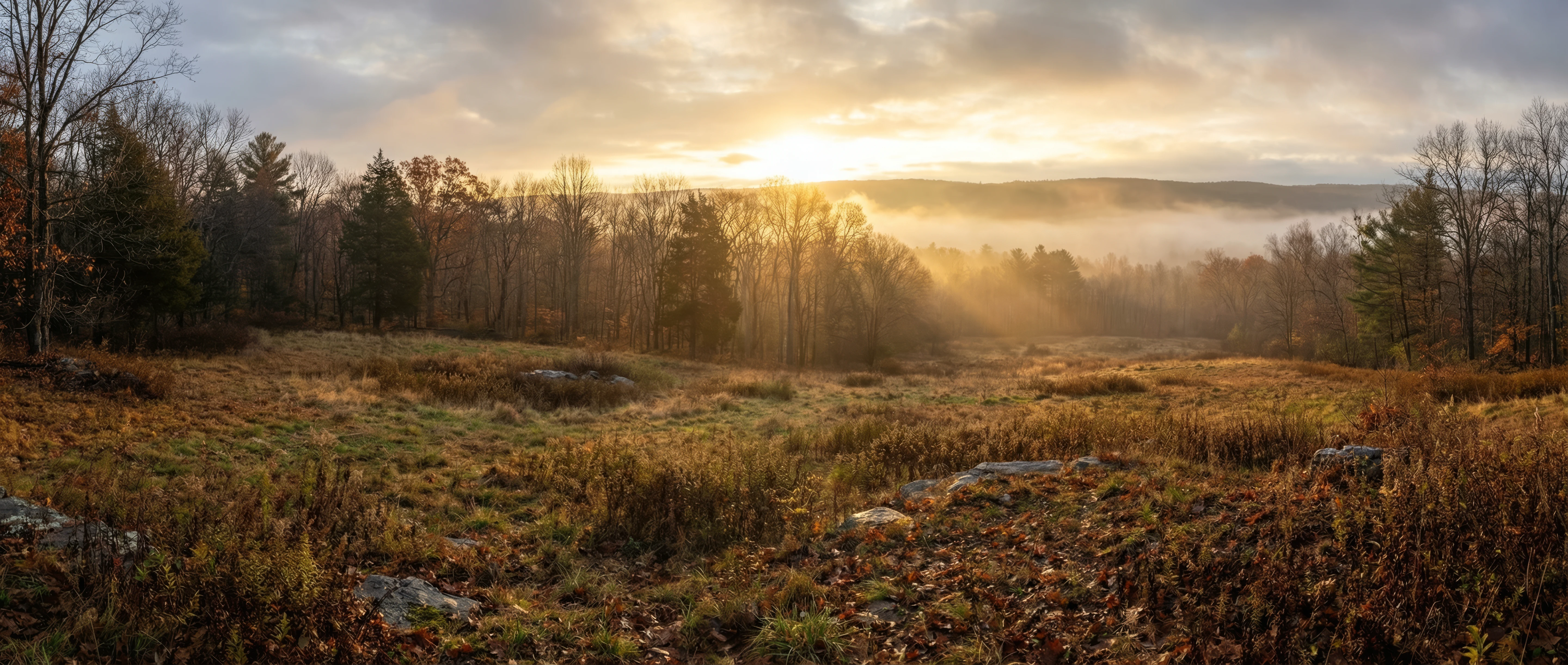 Misty autumn morning, RidgeVale meadow